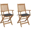 Image de vidaXL - Tuinstoelen - 2 - st - inklapbaar - met - kussens - massief - acaciahout