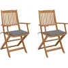 Image de vidaXL - Tuinstoelen - 2 - st - inklapbaar - met - kussens - massief - acaciahout