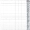 Image de vidaXL - Tuinhek - 50x1,6 - m - gegalvaniseerd - staal - zilverkleurig