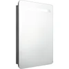 Image de vidaXL - Badkamerkast - met - spiegel - en - LED - 60x11x80 - cm - glanzend - grijs