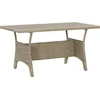 Image de vidaXL - Tuintafel - 120x70x66 - cm - poly - rattan - grijs