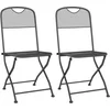 Image de vidaXL - Opklapbare - stoelen, - 2 - stuks, - van - geëxpandeerd - metaalgaas, - antraciet.