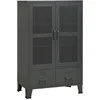 Image de vidaXL - Opbergkast - industrieel - 70x40x115 - cm - metaal - antracietkleurig