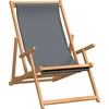 Image de vidaXL - Strandstoel - inklapbaar - massief - teakhout - grijs