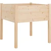 Image de vidaXL - Plantenbak - 70x70x70 - cm - massief - grenenhout