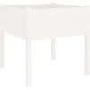 Image de vidaXL - Plantenbak - 70x70x70 - cm - massief - grenenhout - wit