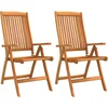 Image de vidaXL - Tuinstoelen - 2 - st - inklapbaar - massief - eucalyptushout