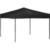 Image de vidaXL - Partytent - inklapbaar - 3x3 - m - zwart