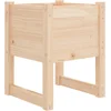 Image de vidaXL - Plantenbak - 40x40x52,5 - cm - massief - grenenhout