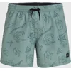 Image de O´neill Mix&match Cali Print 15´´ Zwembroek Groen M Man