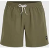 Image de O'neill Zwemkledij MIX & MATCH VERT 16'' SWIM SHORTS