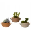 Image de Kaemingk - Decoratieve Kunstplant - Cactus - 13x13 cm - Ovale Pot