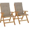 Image de vidaXL - Tuinstoelen - 2 - st - verstelbaar - met - kussens - massief - teakhout