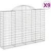 Image de vidaXL - Schanskorven - 9 - st - gewelfd - 200x30x140/160 - cm - ijzer