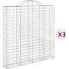 Image de vidaXL - Schanskorven - 3 - st - gewelfd - 200x30x200/220 - cm - ijzer