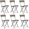 Image de vidaXL - Bistrostoelen - 6 - st - inklapbaar - poly - rattan - en - staal - grijs