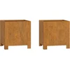 Image de vidaXL - Plantenbakken - met - poten - 2 - st - roestig - 30x30x30 - cm - cortenstaal