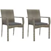 Image de vidaXL - Tuinstoelen - 2 - st - met - kussens - poly - rattan - grijs