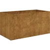 Image de vidaXL - Plantenbak - 80x40x40 - cm - cortenstaal