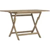 Image de vidaXL - Tuintafel - inklapbaar - 120x70x75 - cm - massief - teakhout - grijs