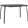 Image de vidaXL - Tuintafel - 110x80x72 - cm - staalgaas - antracietkleurig