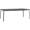 Image de vidaXL - Tuintafel - 200x100x72 - cm - staalgaas - antracietkleurig