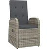 Image de vidaXL - 5-delige - Tuinset - met - kussens - poly - rattan - grijs