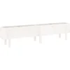 Image de vidaXL - Plantenbak - verhoogd - 160x30x38 - cm - massief - grenenhout - wit