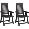 Image de vidaXL - Tuinstoelen - 2 - st - verstelbaar - PP - antracietkleurig
