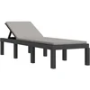 Image de vidaXL - Ligbed - met - kussens - PP - antracietkleurig