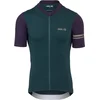 Image de Colorblock Fietsshirt Performance Heren