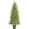 Image de Black Box Trees Nagoya Kunstkerstboom met LED Verlichting en Timerfunctie - H120 x Ø60 cm - Groen