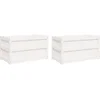 Image de vidaXL - Plantenbakken - 2 - st - cm - massief - grenenhout - wit