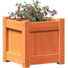 Image de vidaXL - Plantenbak - 31x31x31 - cm - massief - grenenhout - wasbruin