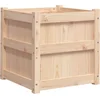 Image de vidaXL - Plantenbak - 50x50x50 - cm - massief - grenenhout