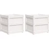 Image de vidaXL - Plantenbakken - 2 - st - cm - massief - grenenhout - wit