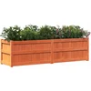 Image de vidaXL - Plantenbak - 180x50x50 - cm - massief - grenenhout - wasbruin