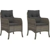 Image de vidaXL - Tuinstoelen - 2 - st - met - kussens - poly - rattan - grijs