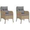 Image de vidaXL - Tuinstoelen - 2 - st - met - kussens - poly - rattan - gemengd - beige