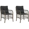 Image de vidaXL - Tuinstoelen - 2 - st - met - kussens - poly - rattan - grijs