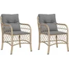 Image de vidaXL - Tuinstoelen - 2 - st - met - kussens - poly - rattan - gemengd - beige