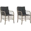 Image de vidaXL - Tuinstoelen - 2 - st - met - kussens - poly - rattan - lichtgrijs