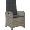 Image de vidaXL - Tuinstoel - verstelbaar - met - kussens - poly - rattan - grijs