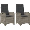 Image de vidaXL - Tuinstoelen - 2 - st - verstelbaar - met - kussens - poly - rattan - grijs