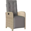 Image de vidaXL - Tuinstoel - verstelbaar - met - voetensteun - poly - rattan - gemengd - beige