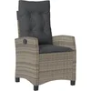 Image de vidaXL - Tuinstoel - verstelbaar - met - kussens - poly - rattan - grijs