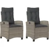 Image de vidaXL - Tuinstoelen - 2 - st - verstelbaar - met - kussens - poly - rattan - grijs