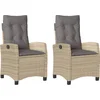 Image de vidaXL - Tuinstoelen - 2 - st - verstelbaar - kussens - poly - rattan - gemengd - beige