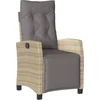 Image de vidaXL - Tuinstoel - verstelbaar - met - voetensteun - poly - rattan - gemengd - beige