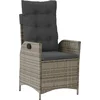 Image de vidaXL - Tuinstoel - verstelbaar - met - kussens - poly - rattan - grijs